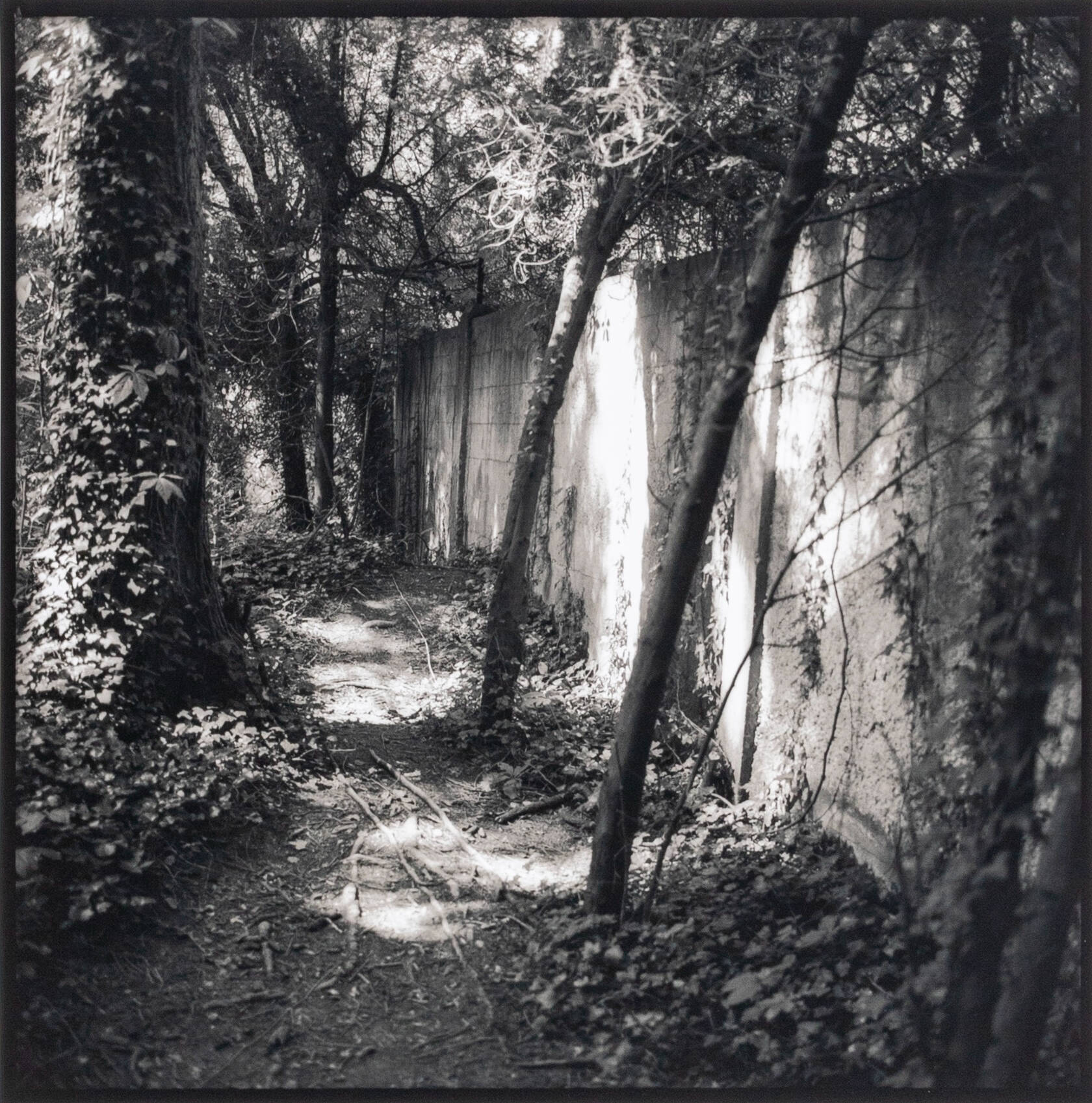 Black and white photograph of a concrete wall surrounded by vines and trees.